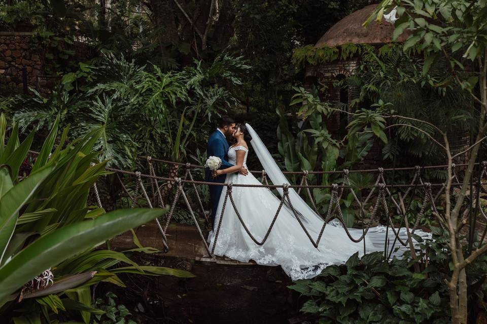 Trash the dress