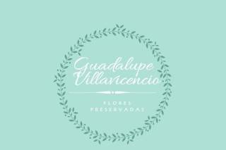 Guadalupe Villavicencio - Flores preservadas