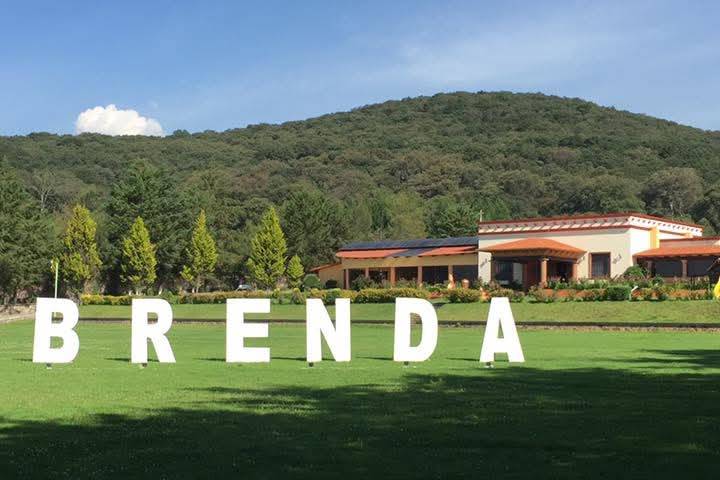 Jardín