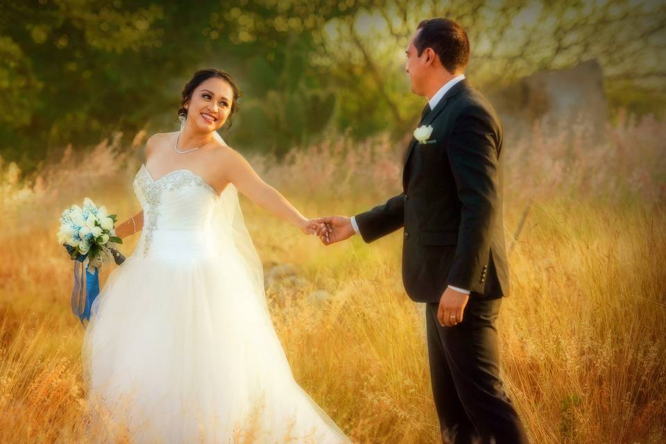 Novios agarrados de la mano en el campo