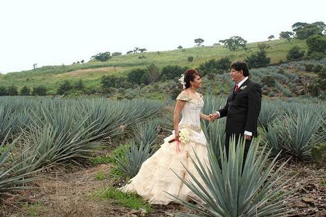 Fotografía Rubén Vallejo
