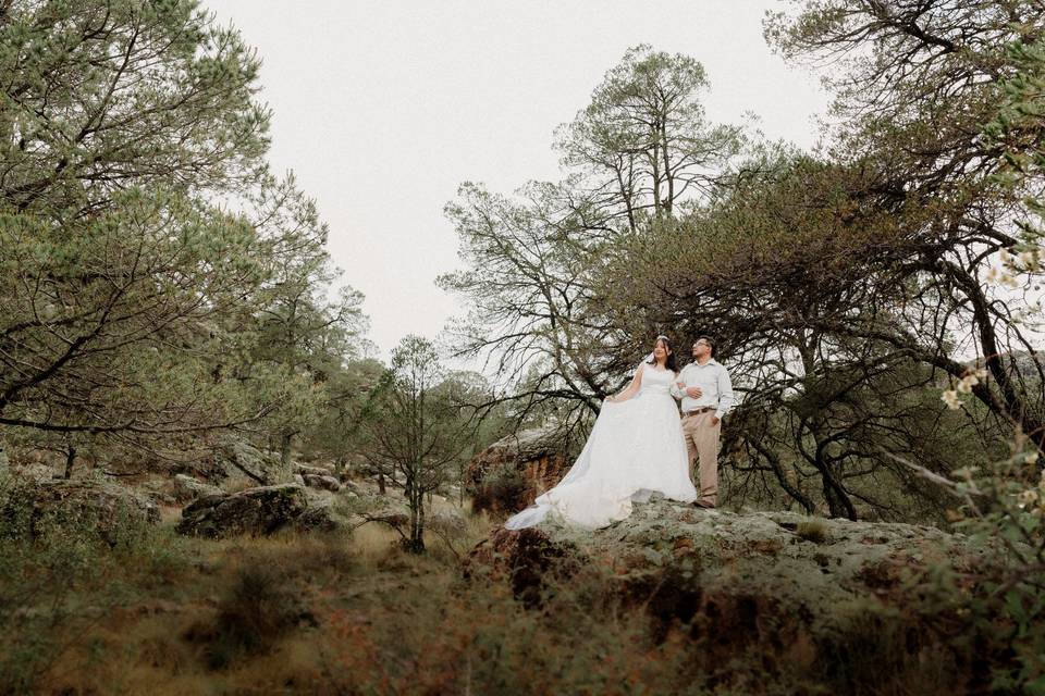 Trash the dress/Zacatecas