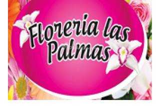 Florería Las Palmas