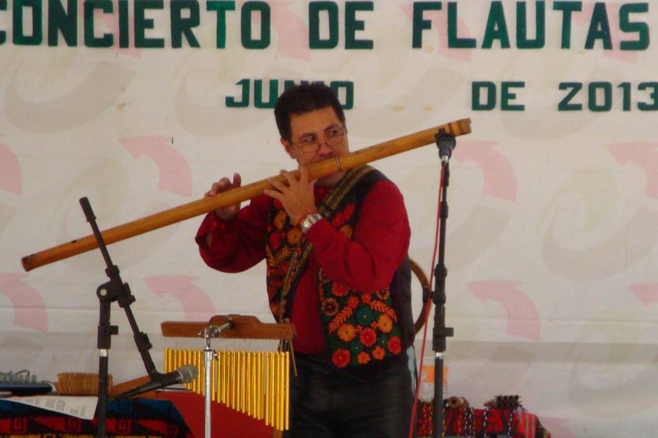 Concierto en Villa del Carbón