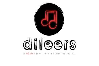 Logo Dileers