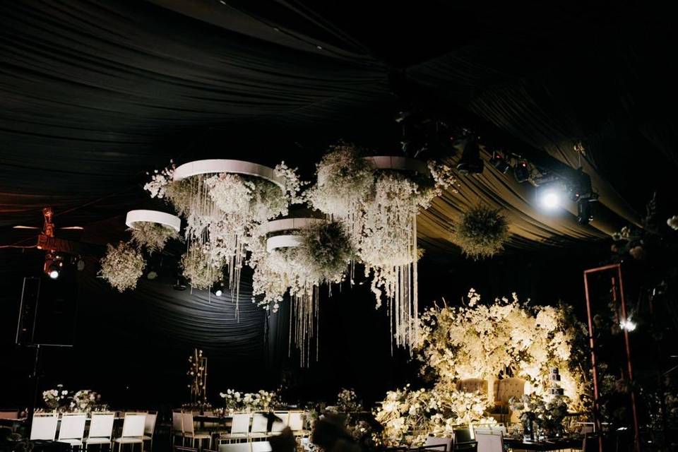 Boda D&L