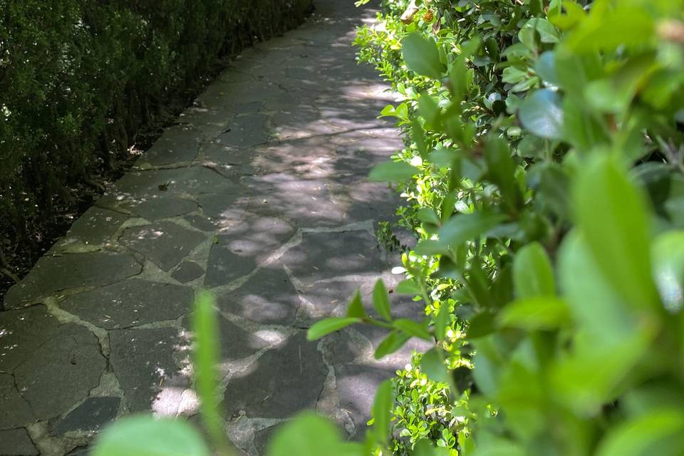 Pasillo Jardines