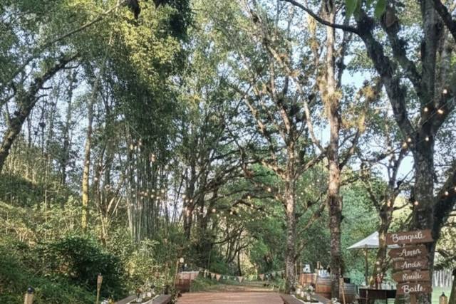 Las Hadas Bosque de Niebla