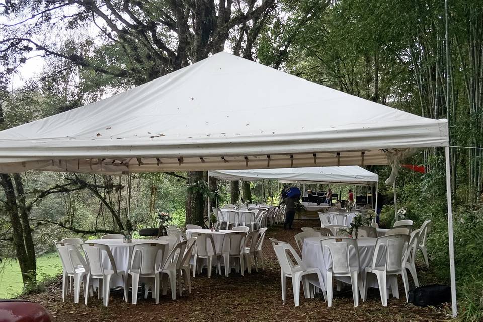 Recepcion