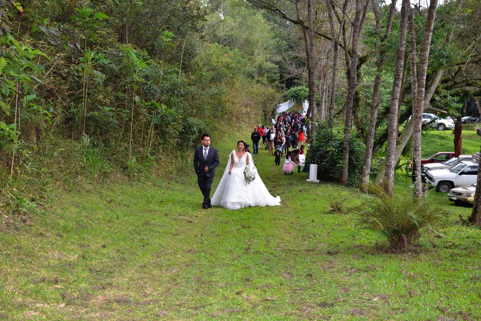 Virreinal