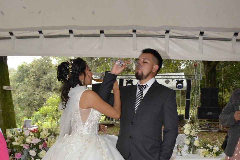 Brindis