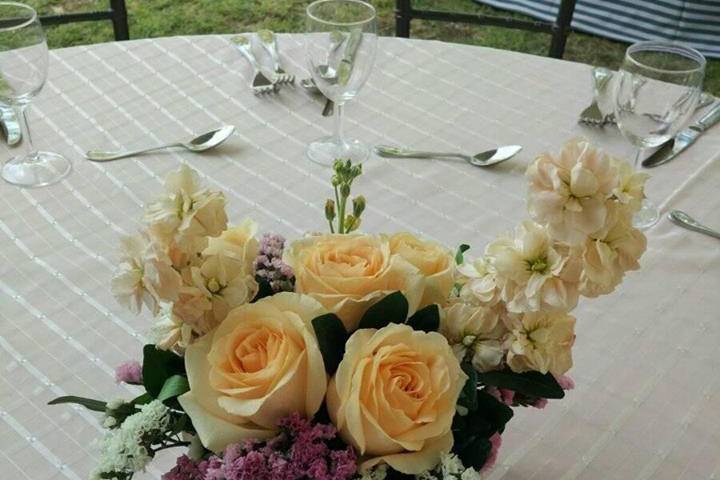 Hortensias verdes y orquìdeas