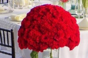 Clavel rojo