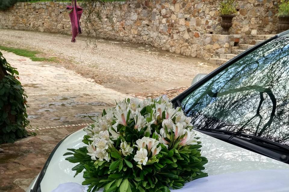 Auto con alstroemeria