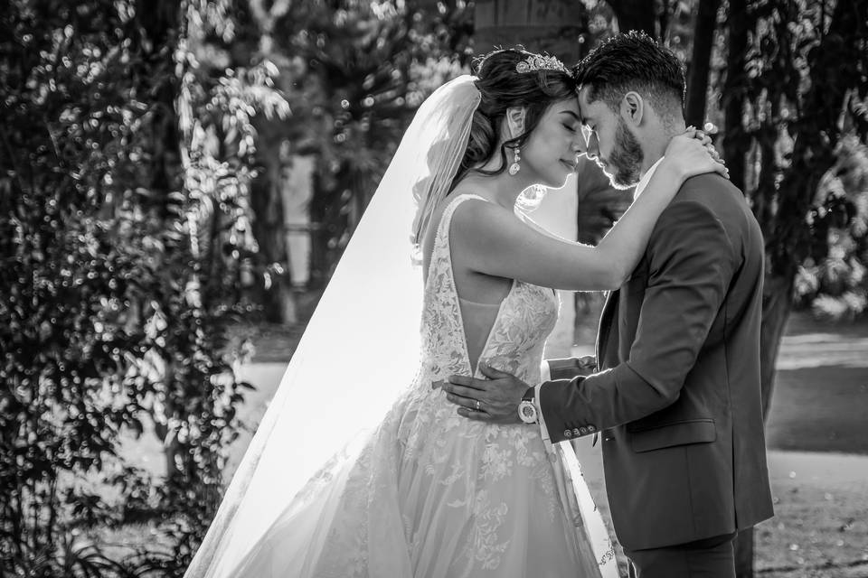 Bodas destino