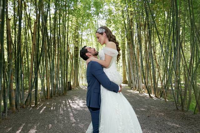 Novios