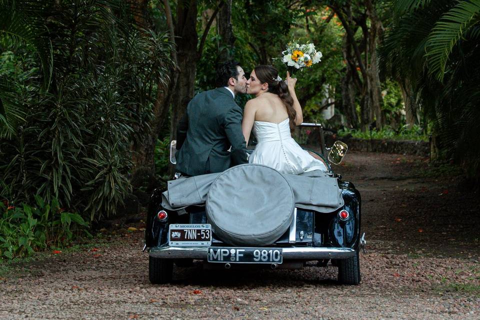 Novios