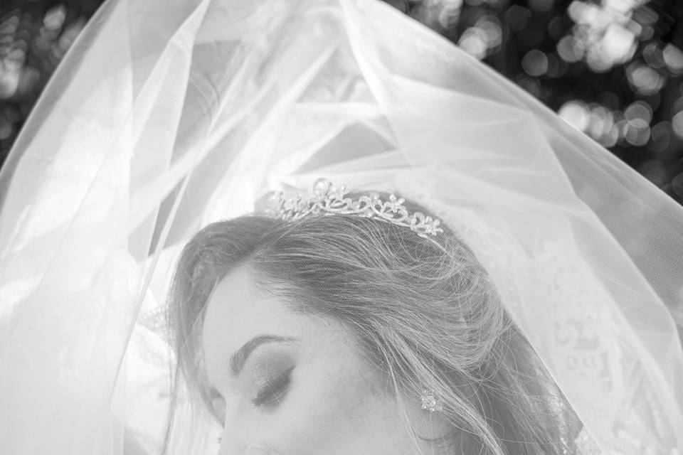 Novia