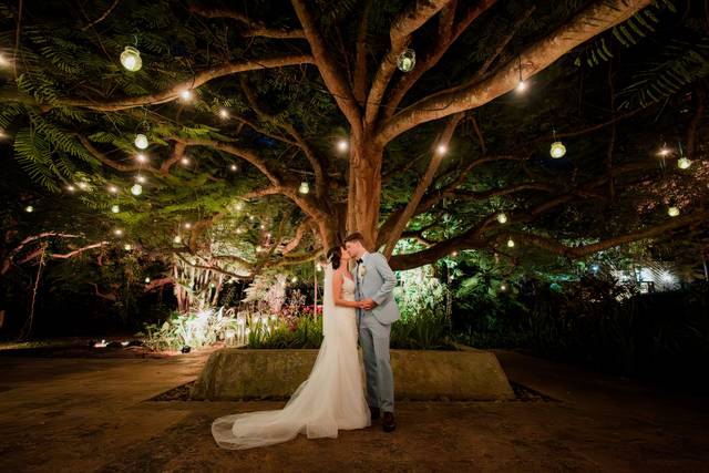 LUCES Y NATURALEZA