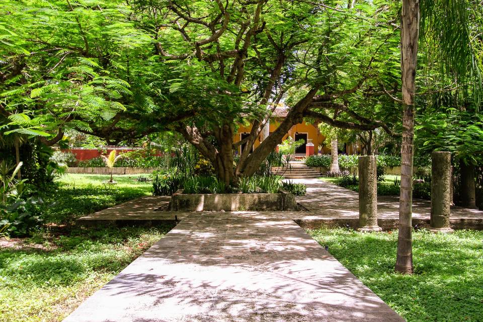 ENTRADA PRINCIPAL
