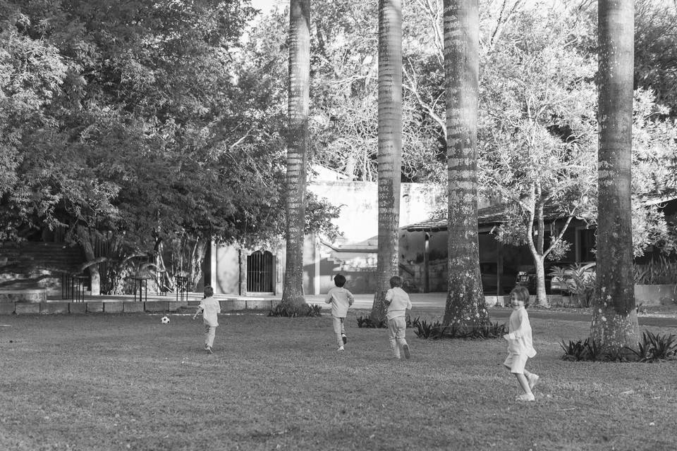 Jardín Gansos