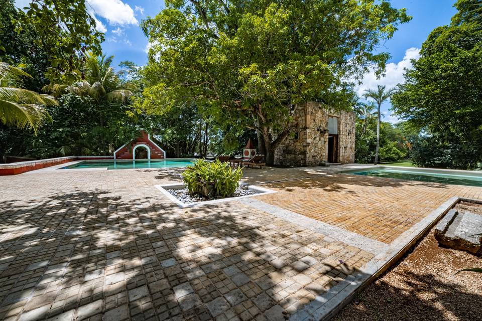 TERRAZA MANGOS