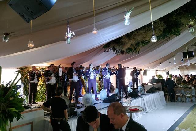 Mariachi en vivo
