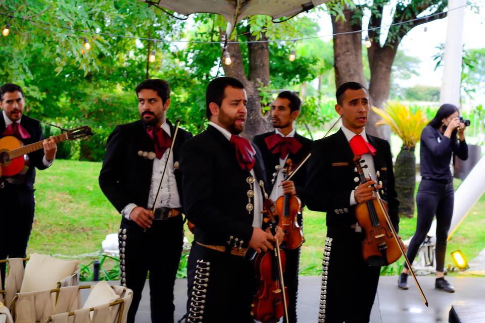 Mariachi