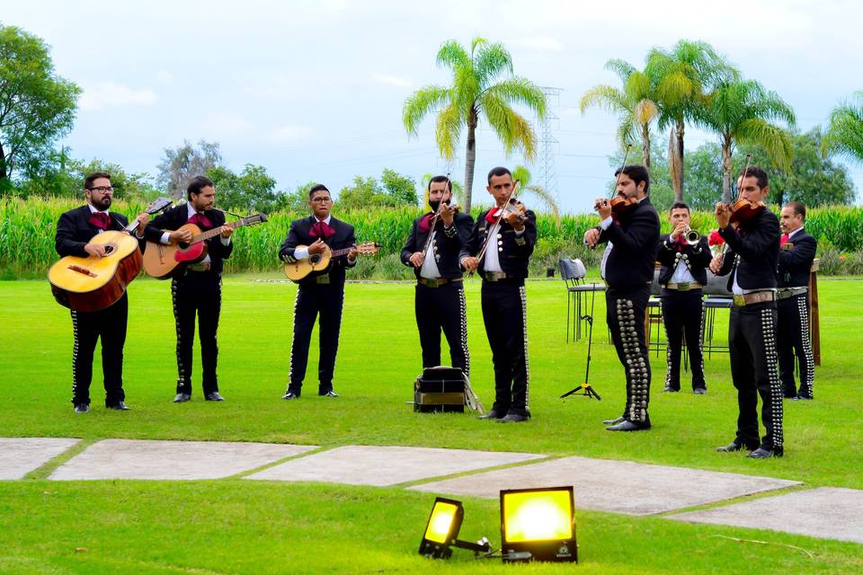 Mariachi