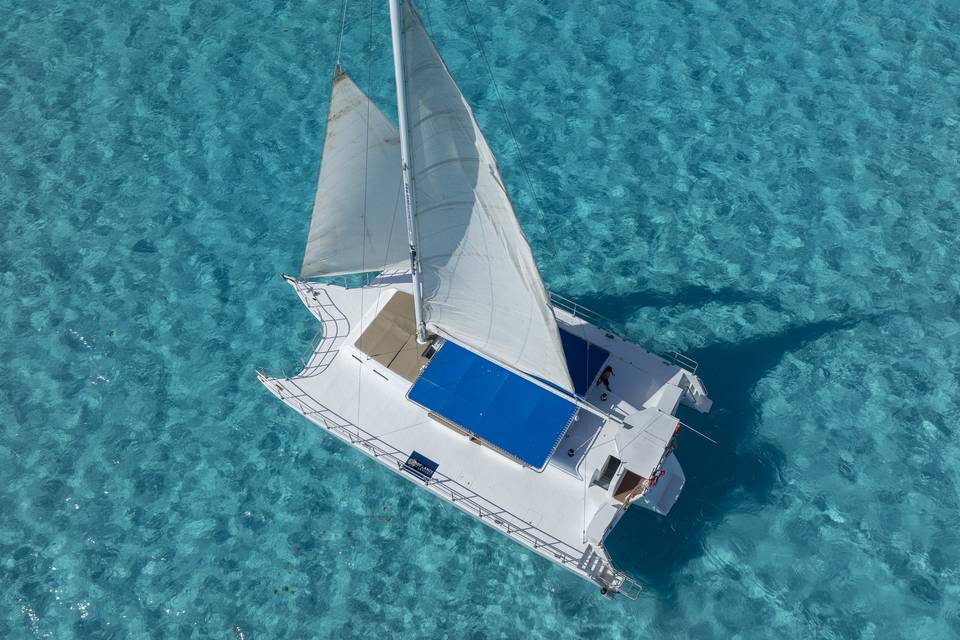 Oceanix wedding planne