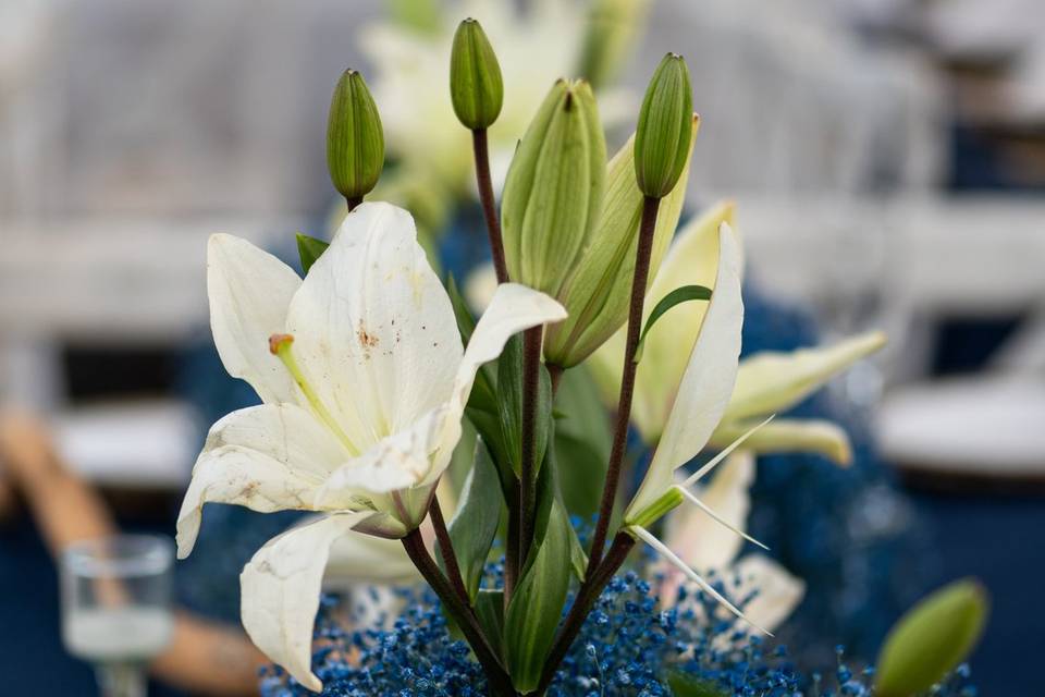 Arreglos florales para eventos