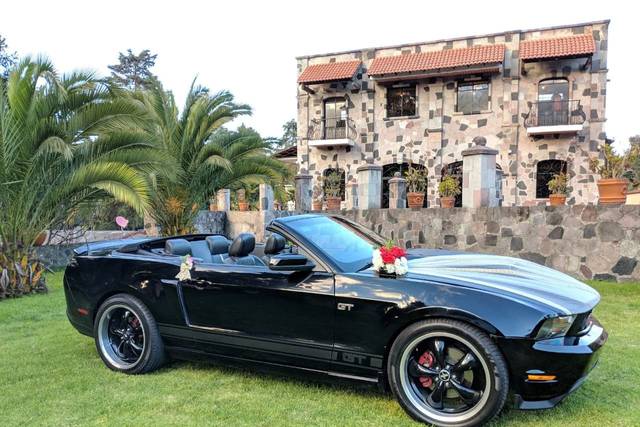 Mustang GT Convertible