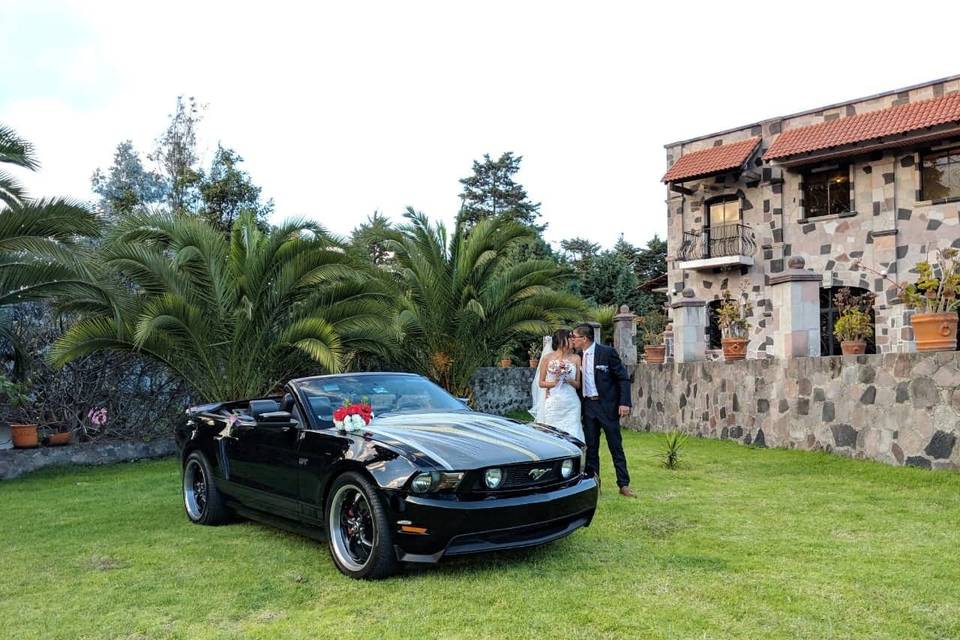 Mustang Convertible