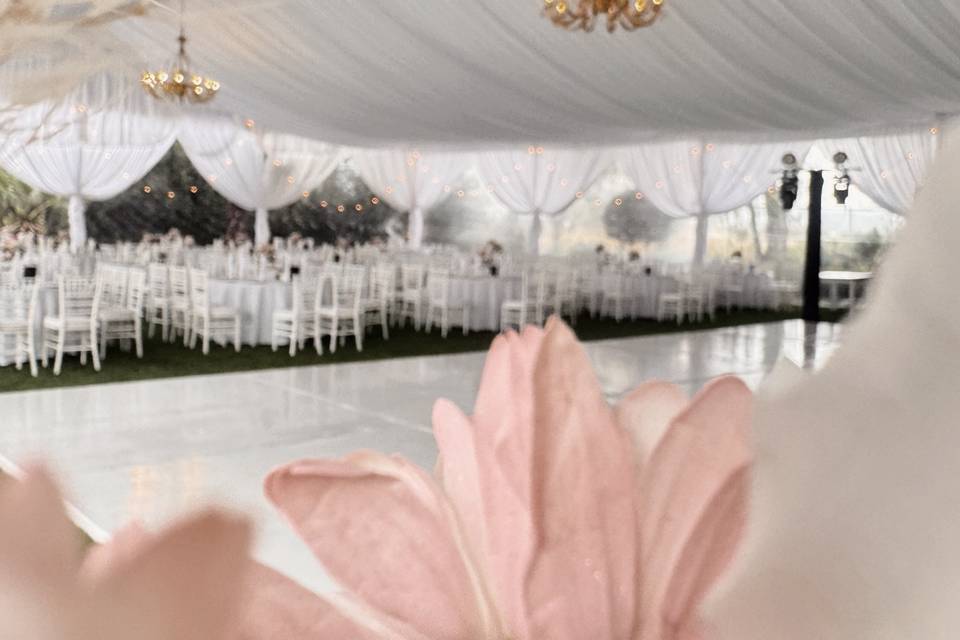 Boda 4 de octubre 2025