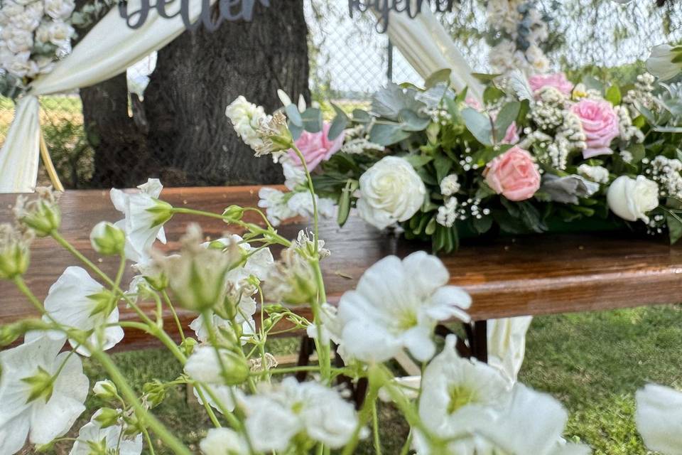 Boda Y&M