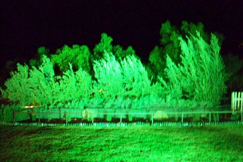 Iluminación de jardín en verde