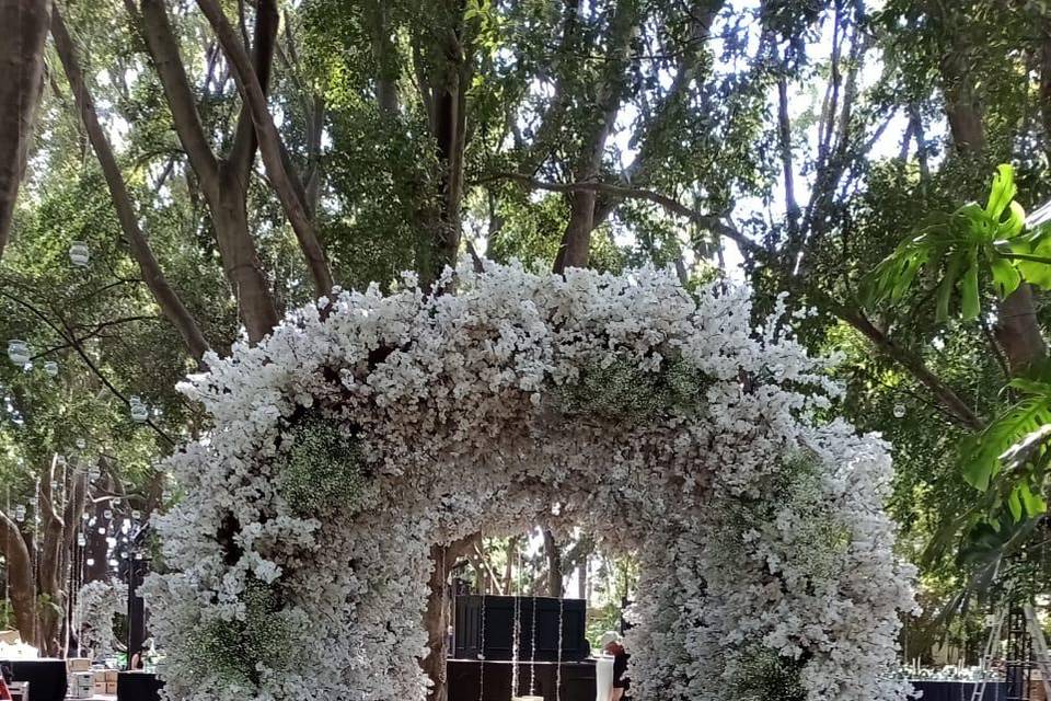 Túnel floral