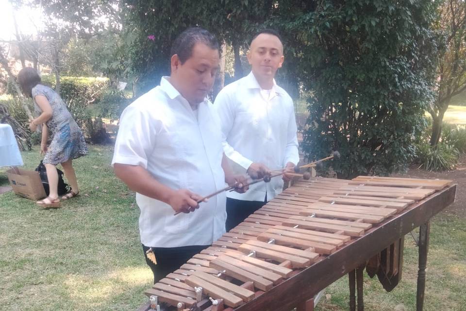 Marimba