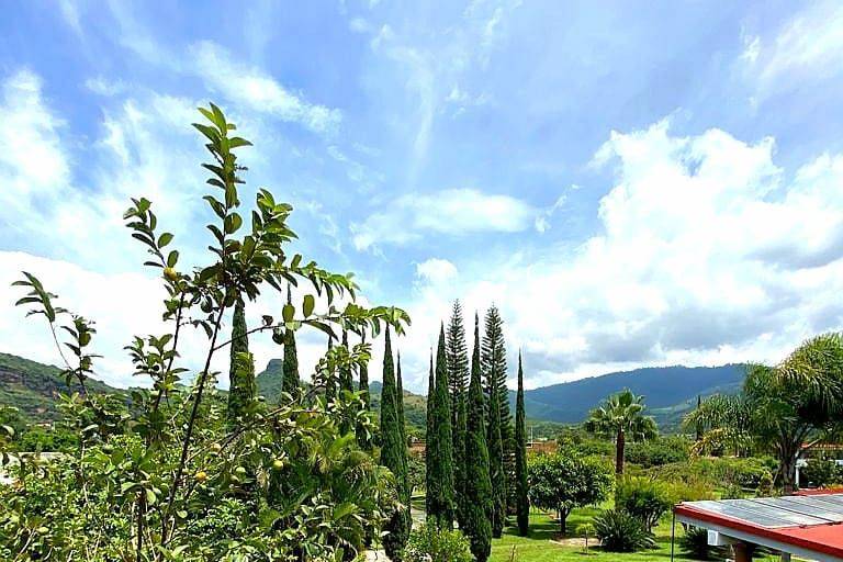 Vista área asador y cocina