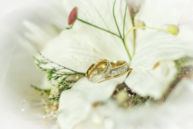 Detalle anillos