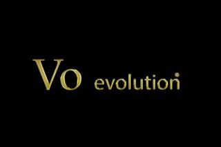 VO Evolution Logo