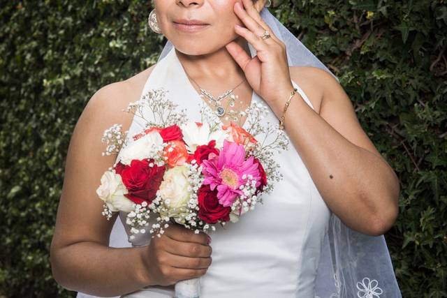 Novia de dia