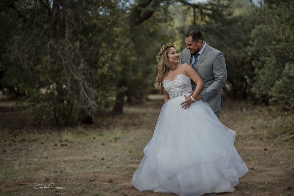 A & E Trash the dress