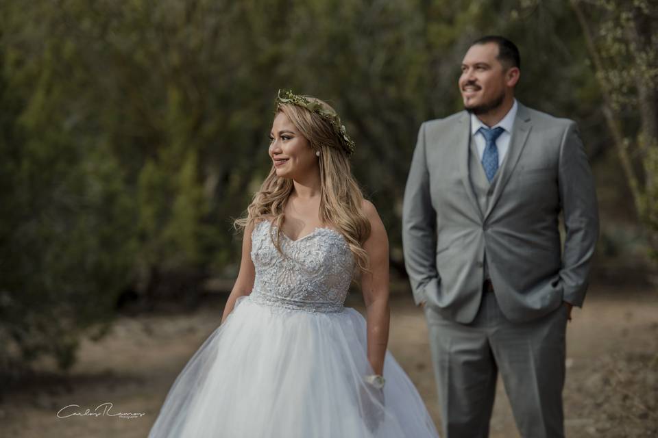 A&E Trash the dress