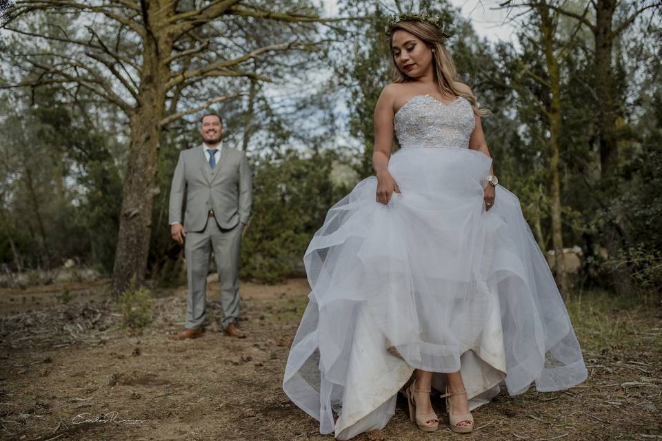 A&E Trash the dress