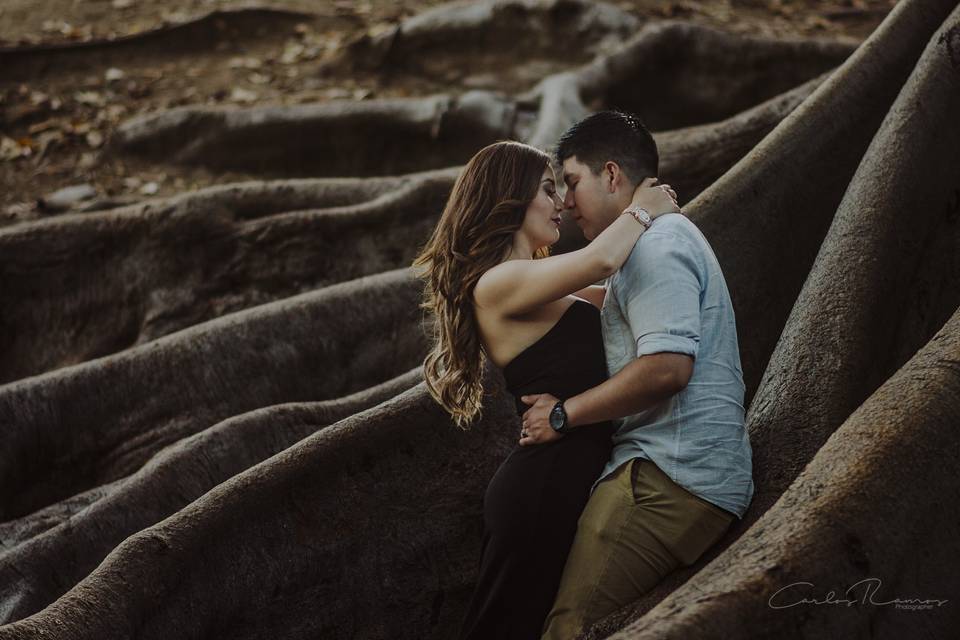 Laia & Richard  Engagement