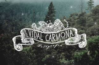 Vidal Carmona