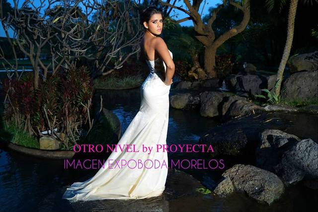 Trash the dress