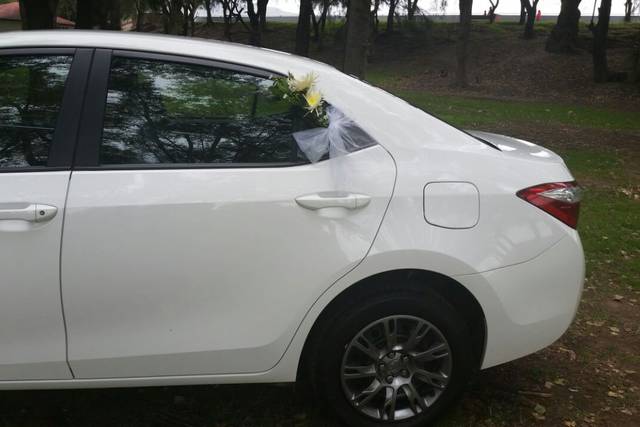 Corolla