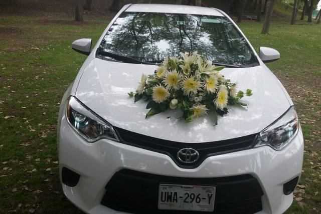 Corolla